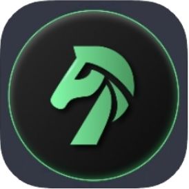 VPN